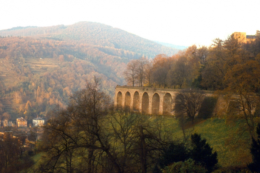 Heidelberg