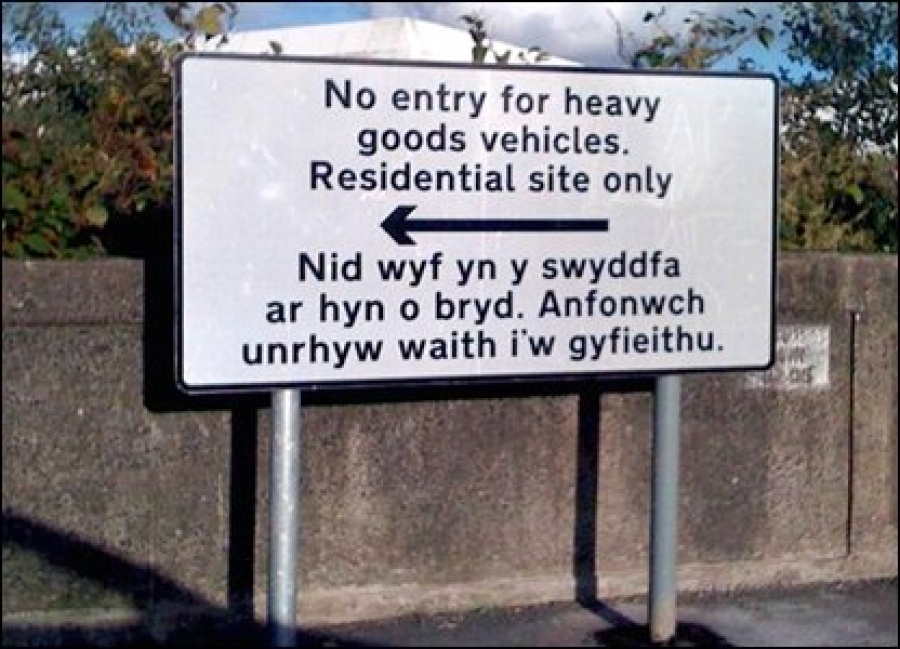 13 words not found in the English language