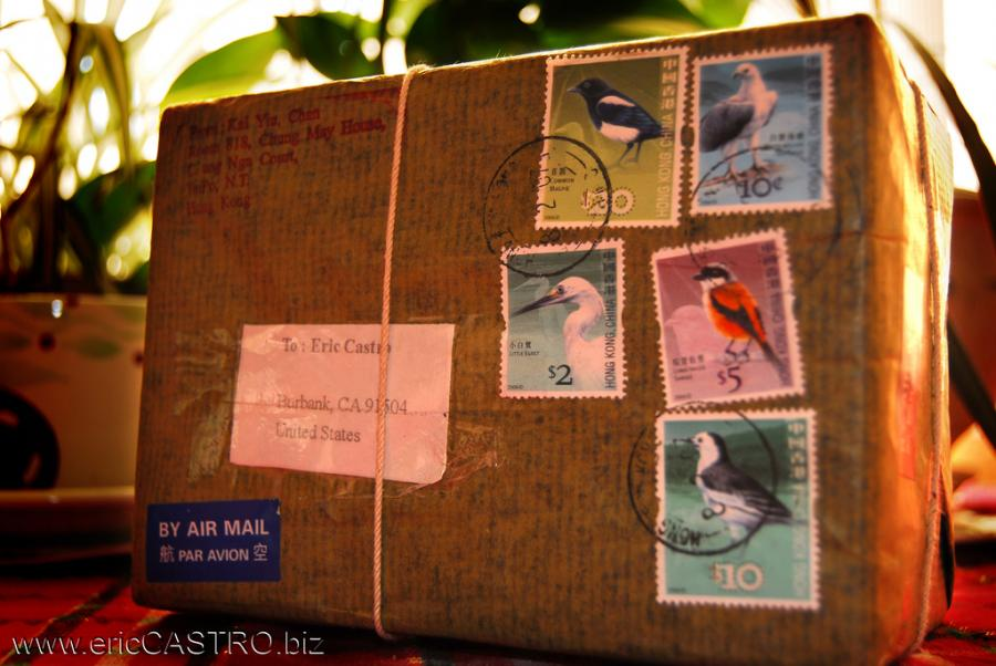 The Evolution of the Long-Distance Relationship