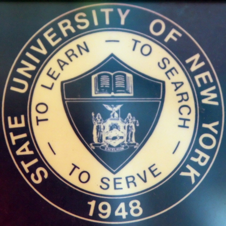 Emily's spending her year abroad at the State University of New York