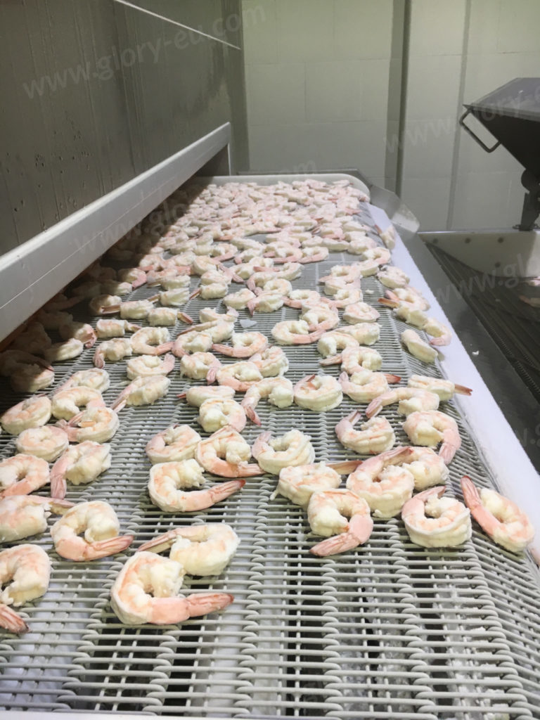 Shrimp & Shellfish Freezing Equipment GLORY