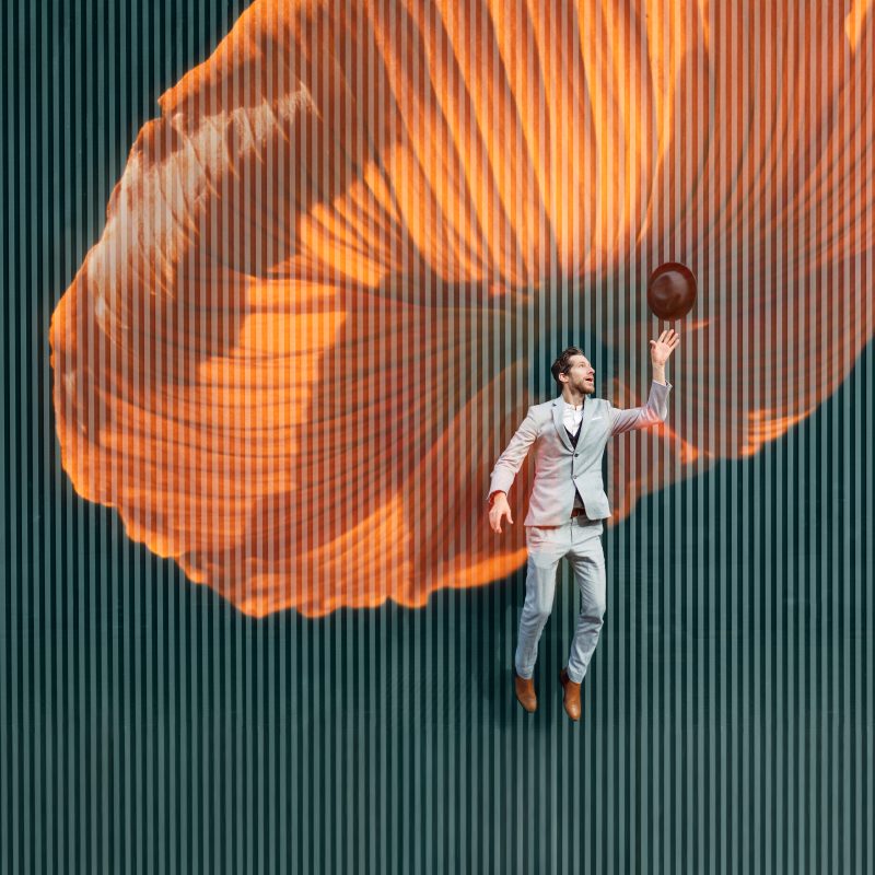 Introducing… Die Zauberflöte