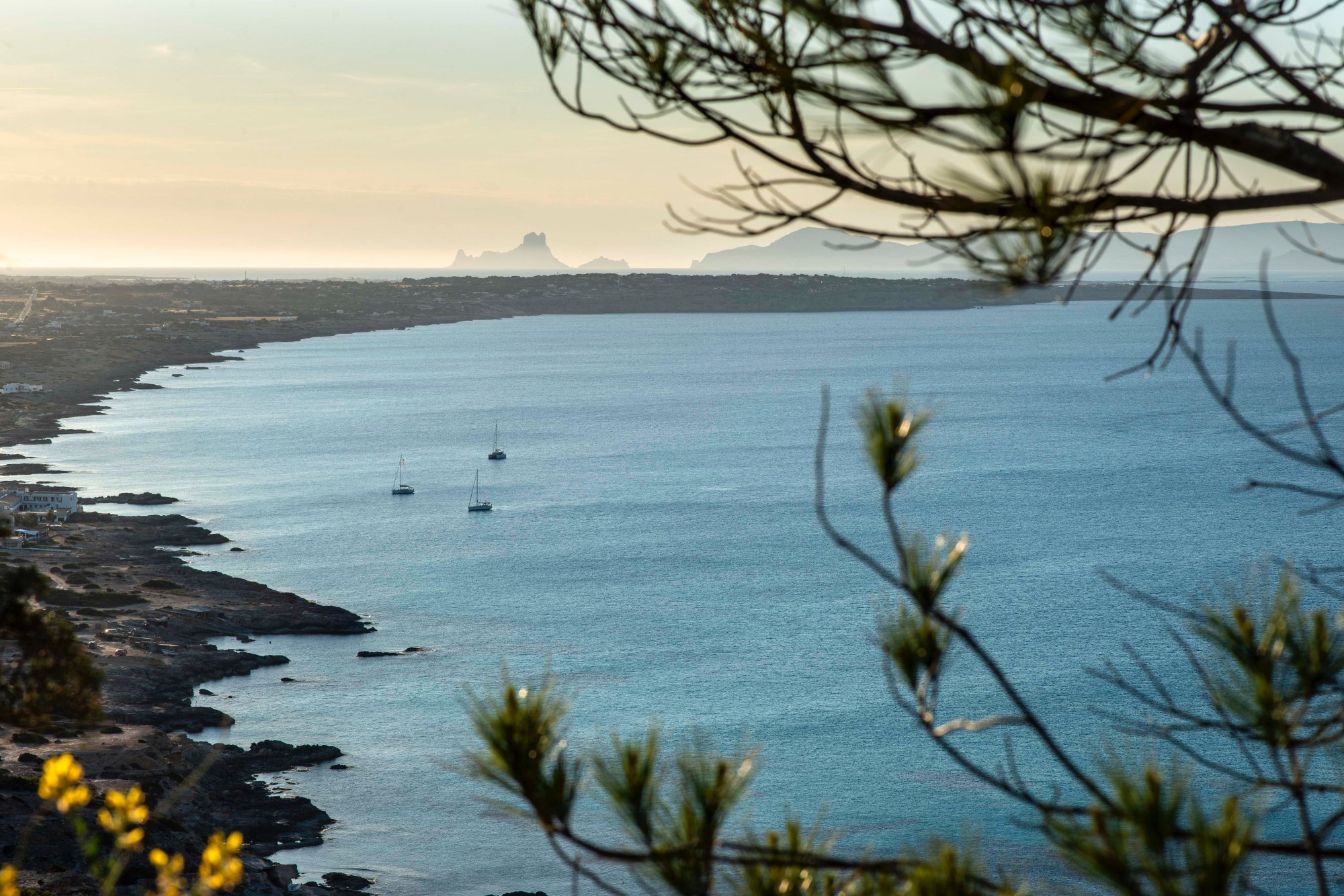 Miradores Formentera: Vistas de la costa de Tramuntana desde Racó de Sa Pujada Miradores Formentera: Vistas de la costa de Tramuntana desde Racó de Sa Pujada