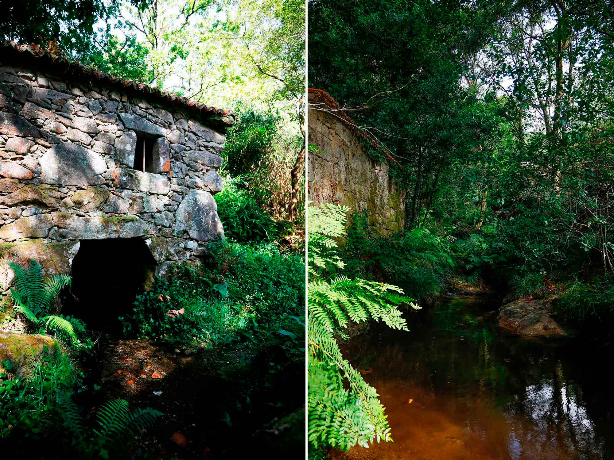 Fotomontaje de paisajes en el parque natural del Monte Aloia. Fotomontaje de paisajes en el parque natural del Monte Aloia.