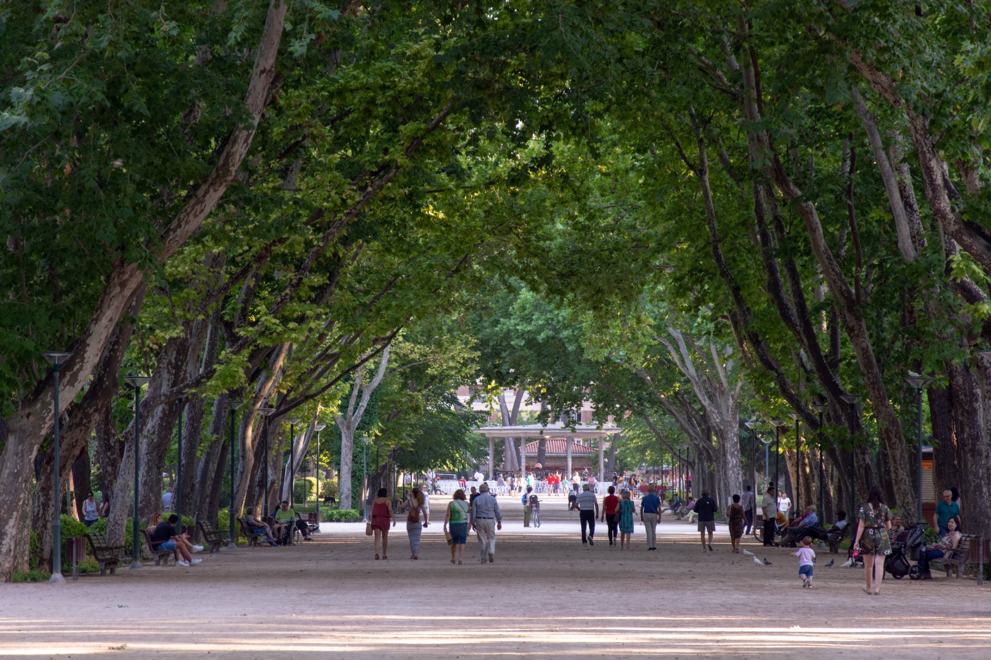 El Parque Abelardo Sánchez, un gran oasis verde en pleno centro de la ciudad. Foto: Ramón Peco. El Parque Abelardo Sánchez, un gran oasis verde en pleno centro de la ciudad. Foto: Ramón Peco.