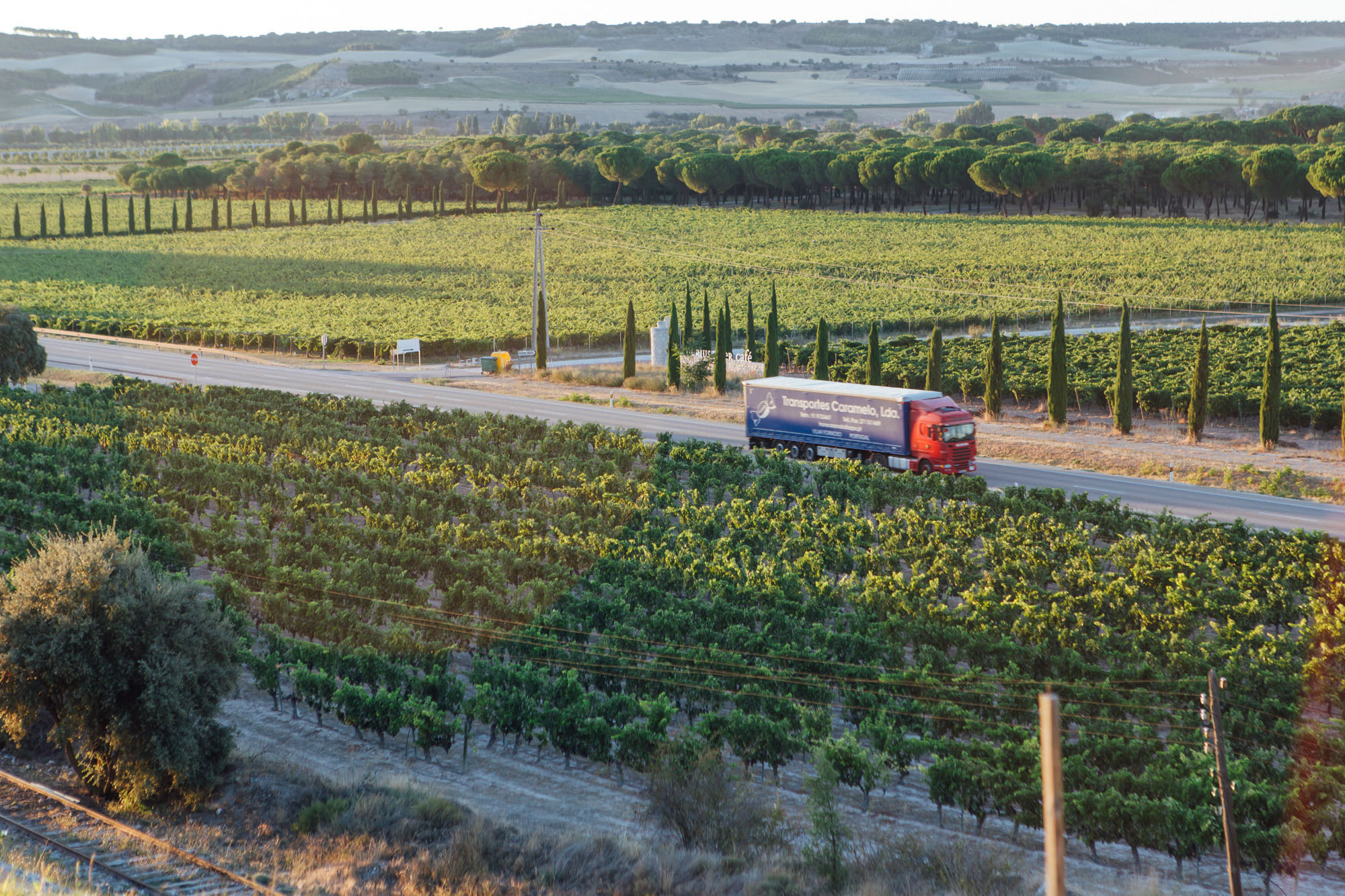 La N-122, rodeada siempre de viñedos, atraviesa el corazón de la Ribera del Duero. La N-122, rodeada siempre de viñedos, atraviesa el corazón de la Ribera del Duero.
