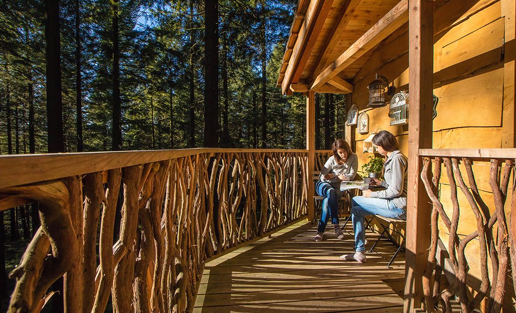 Cabañas En El árbol En Euskadi Extremadura Y Madrid Guía Repsol