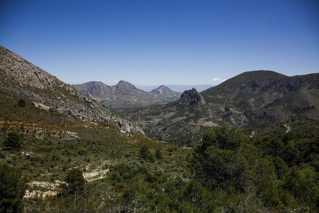 Foto de Parque Natural de Sierra Mágina en Torres, Jaén