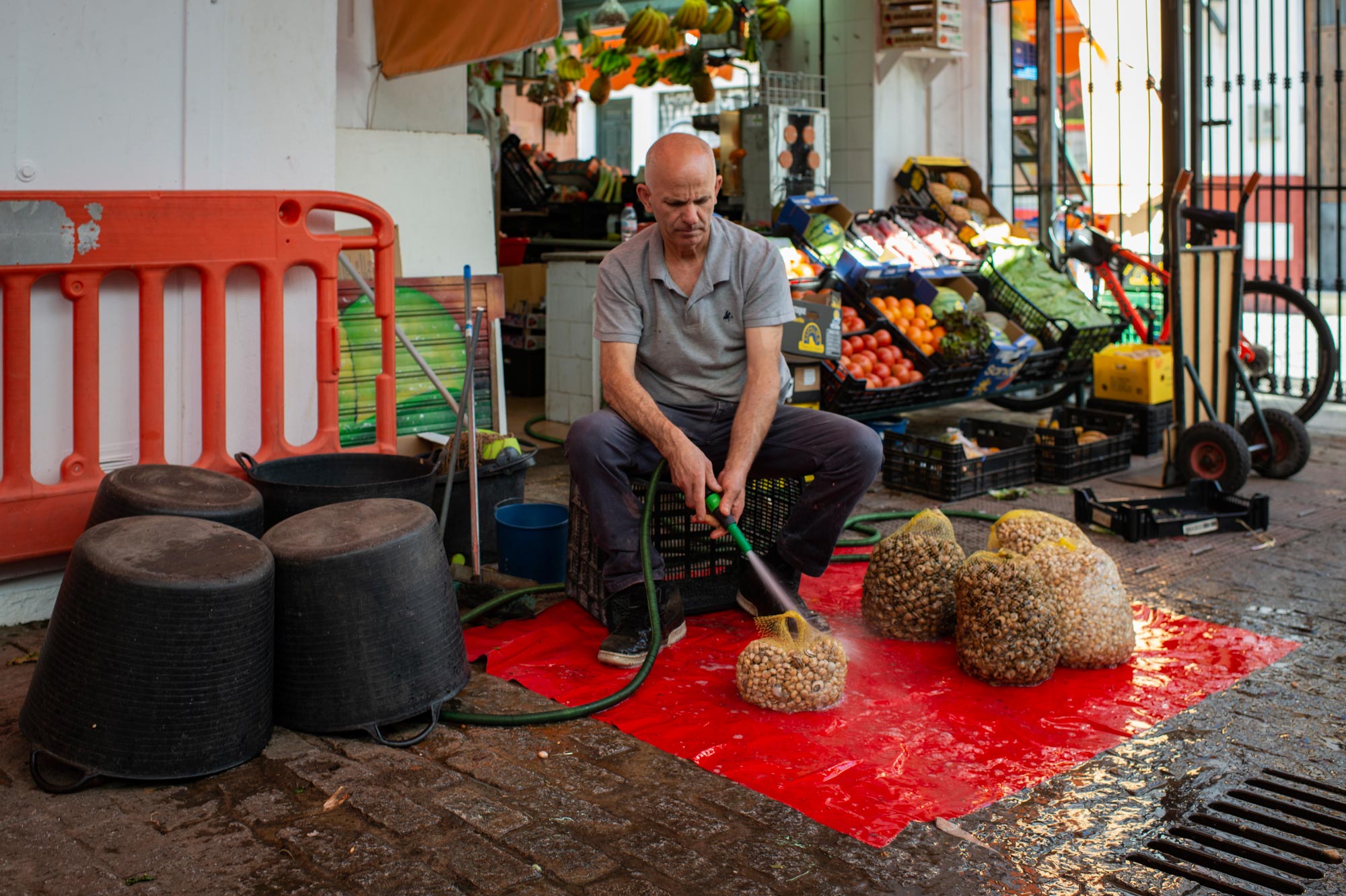 Lavando caracoles y cabrillas en el Mercado de Abastos de la Feria. Lavando caracoles y cabrillas en el Mercado de Abastos de la Feria.