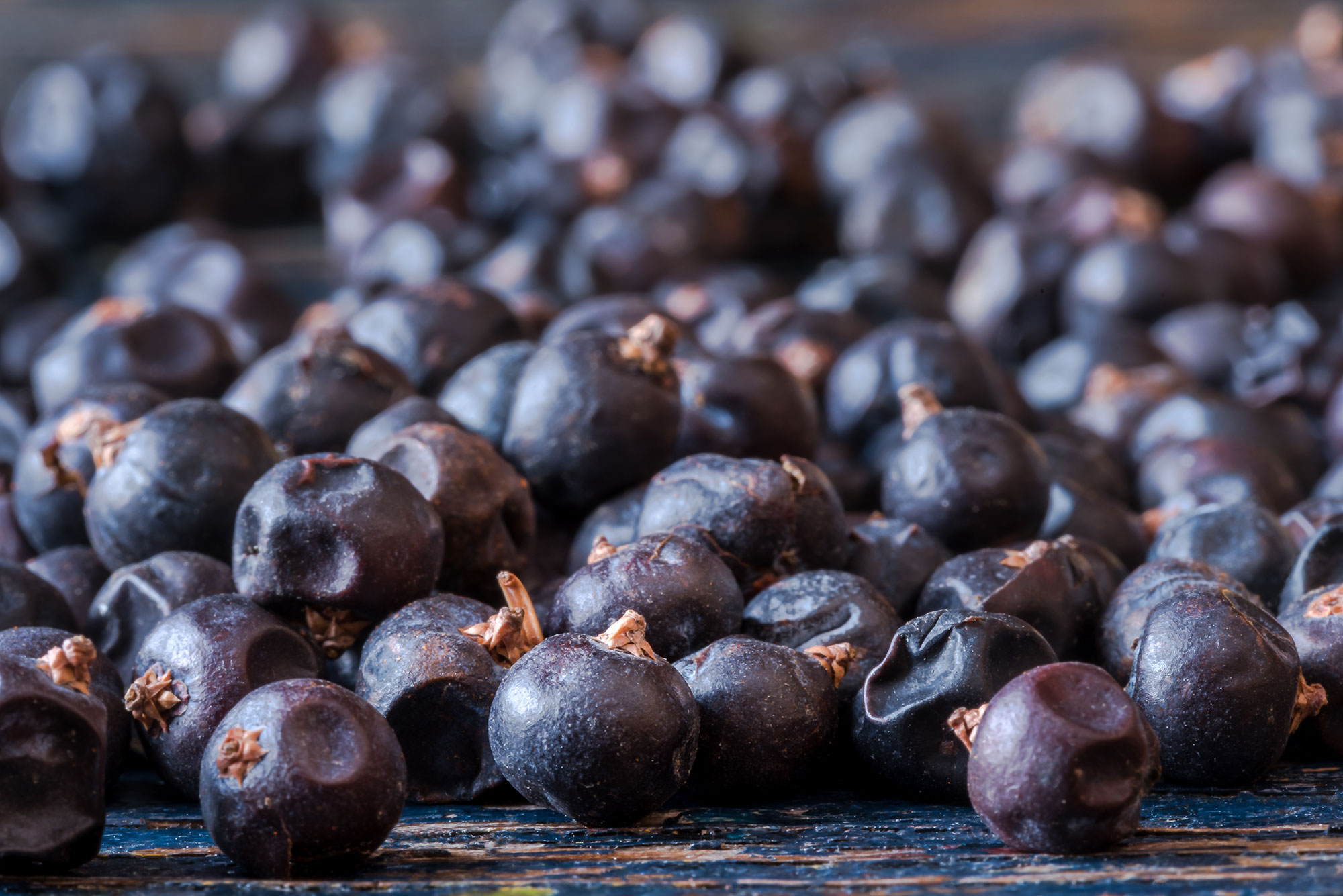 El enebro aporta aromas balsámicos y a madera muy sutiles. Foto: Shutterstock. El enebro aporta aromas balsámicos y a madera muy sutiles. Foto: Shutterstock.