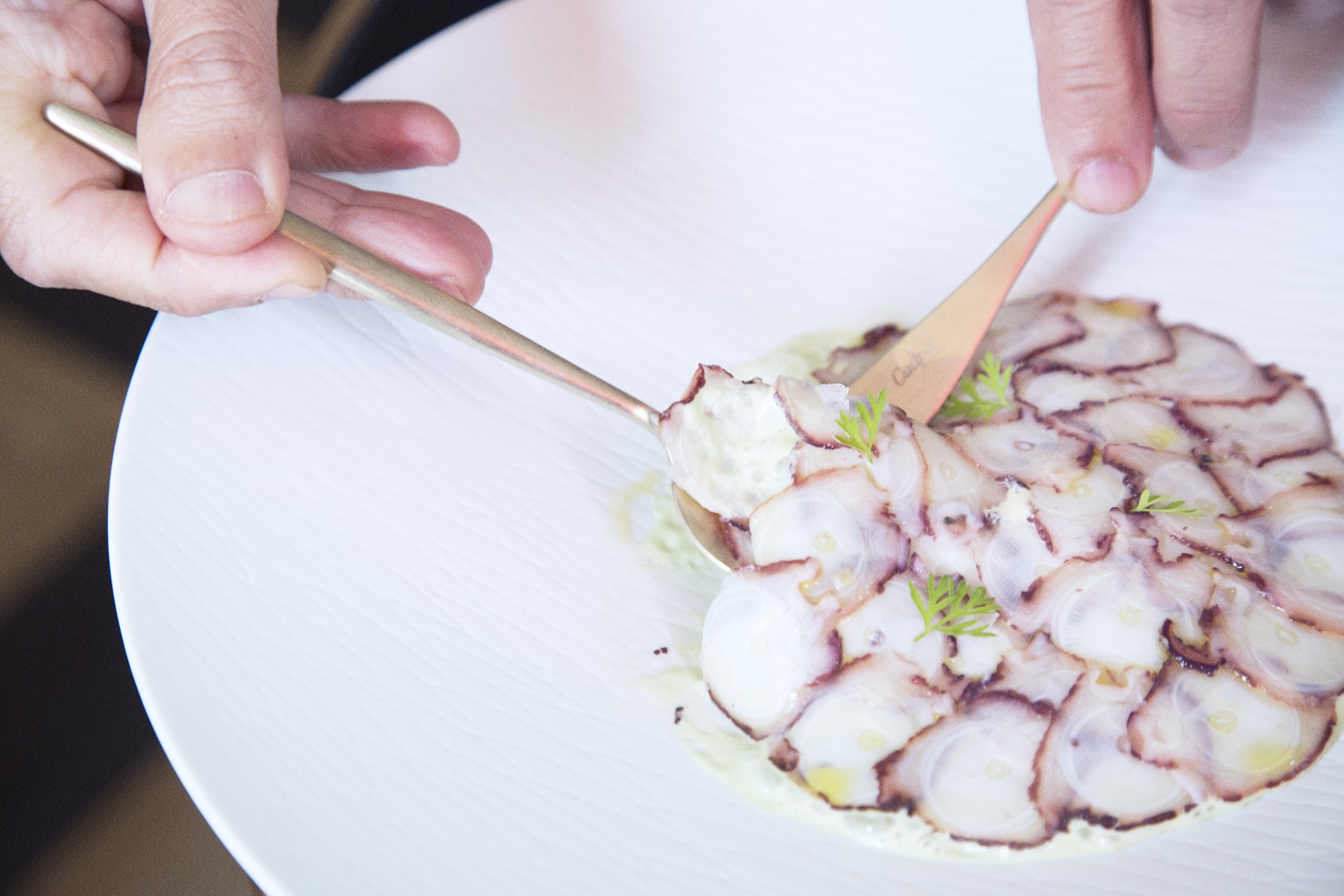 laminas pulpo maison lu laminas pulpo maison lu