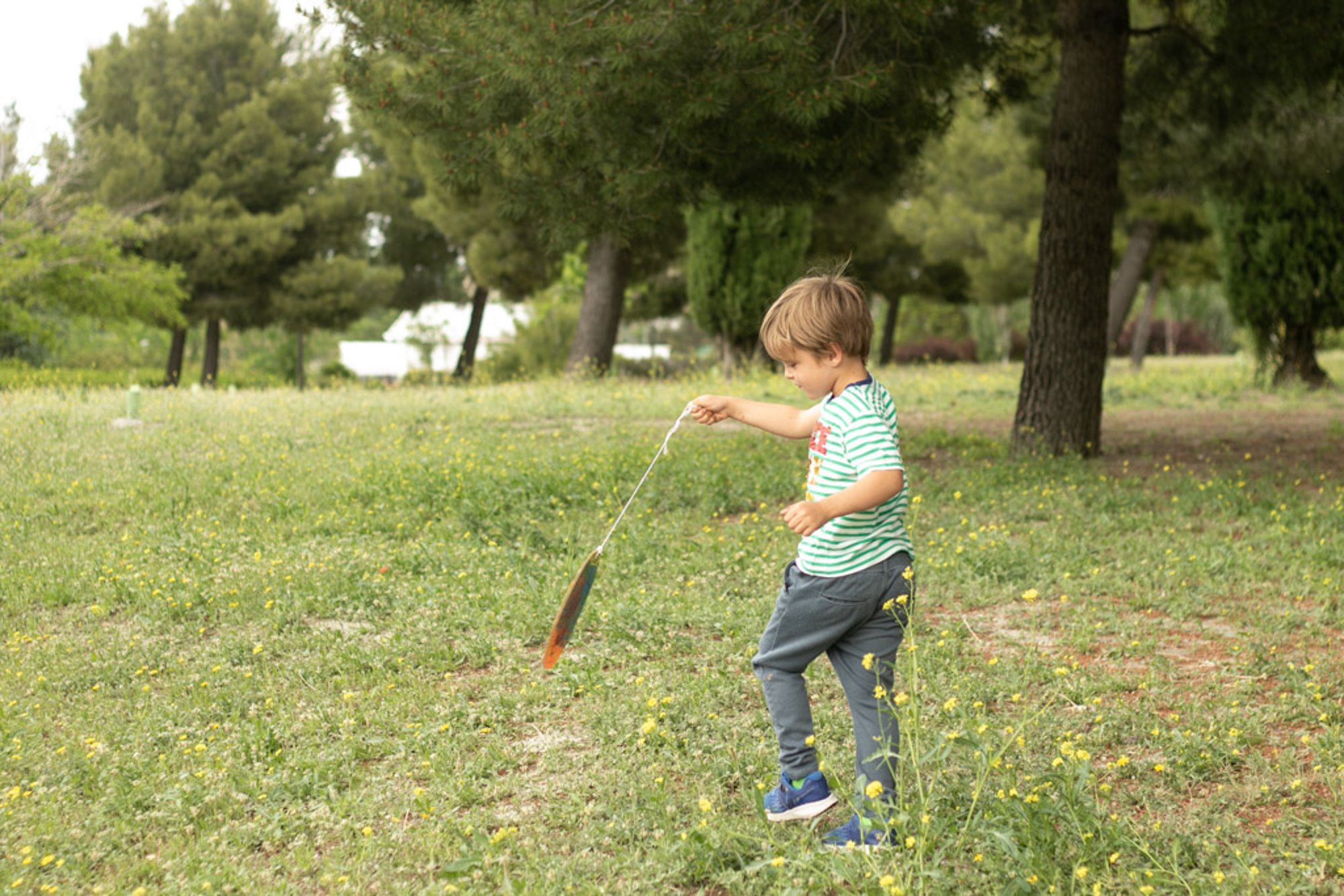 El parque arqueológico se encuentra rodeado de amplias zonas verdes. El parque arqueológico se encuentra rodeado de amplias zonas verdes.