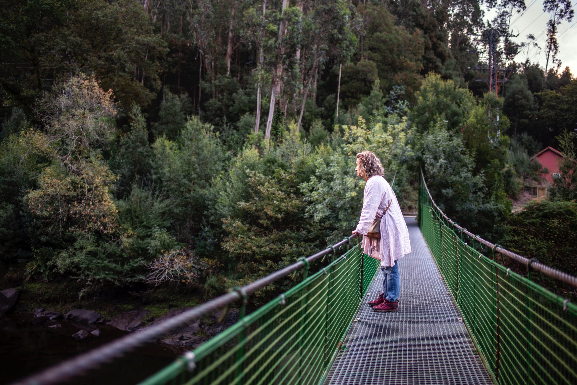 La Pesquería del Tambre: puente colgado en el río Tambre. La Pesquería del Tambre: puente colgado en el río Tambre.
