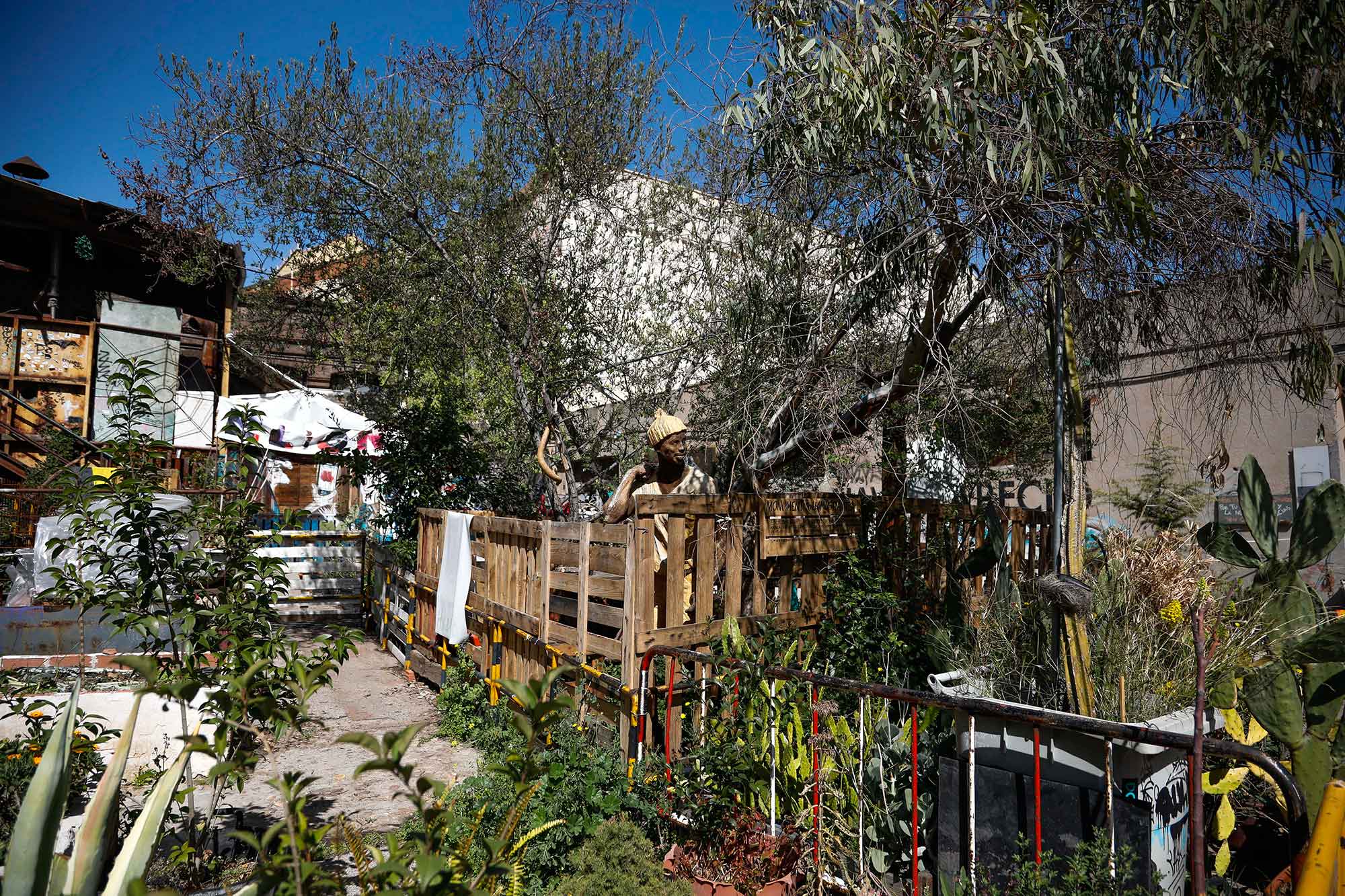 Huerto comunitario de La Tabacalera. Huerto comunitario de La Tabacalera.