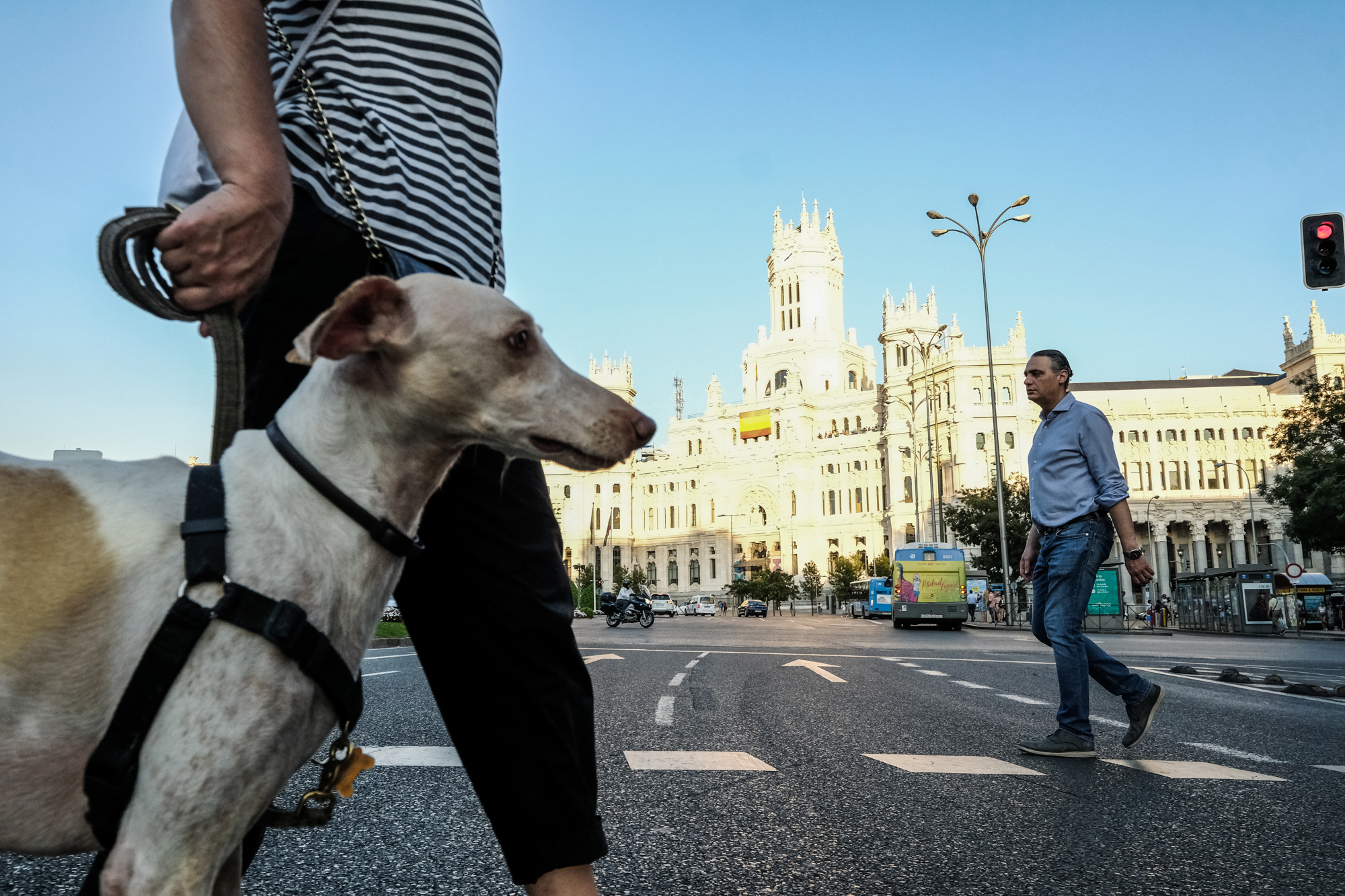 La asociación 'Rehabilitandog' organiza las rutas para ayudar a perros con problemas. La asociación 'Rehabilitandog' organiza las rutas para ayudar a perros con problemas.