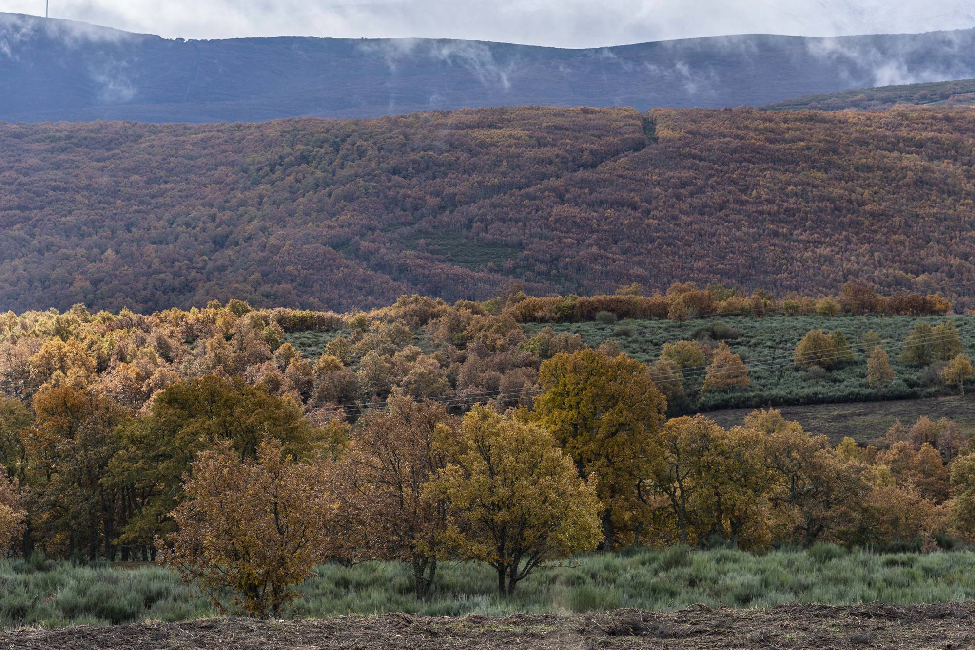 La gama de colores que da en la zona el otoño tardío, un placer para la vista. La gama de colores que da en la zona el otoño tardío, un placer para la vista.