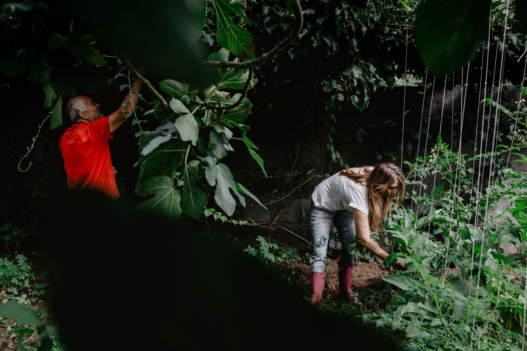 Lucía, su padre y la huerta. Lucía, su padre y la huerta.