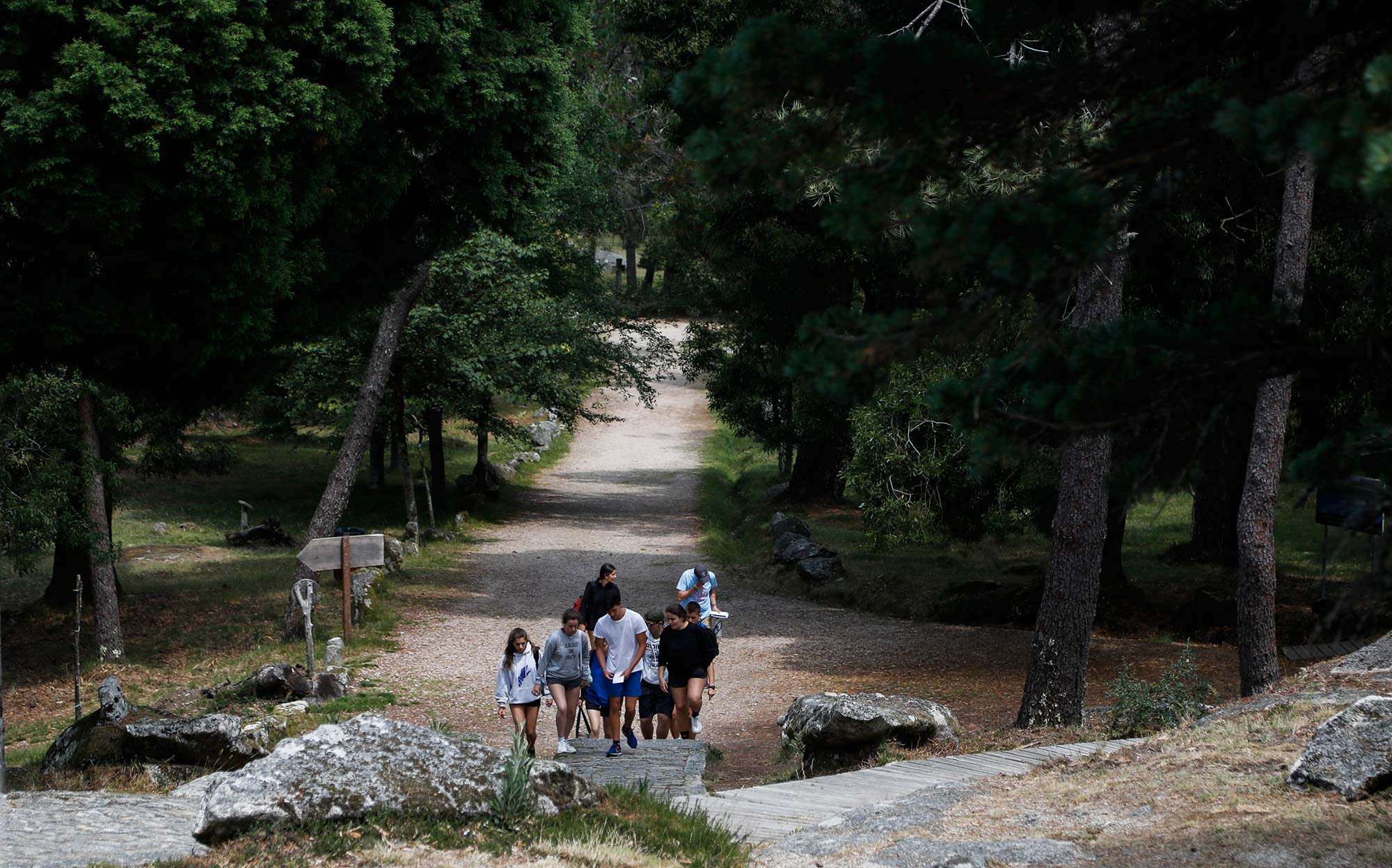 Grupo de adolescentes caminando por el monte Grupo de adolescentes caminando por el monte