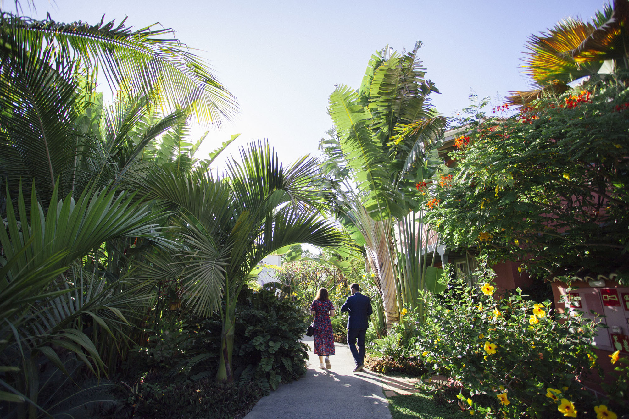 El jardín de rarezas botánicas, la joya natural del hotel. El jardín de rarezas botánicas, la joya natural del hotel.