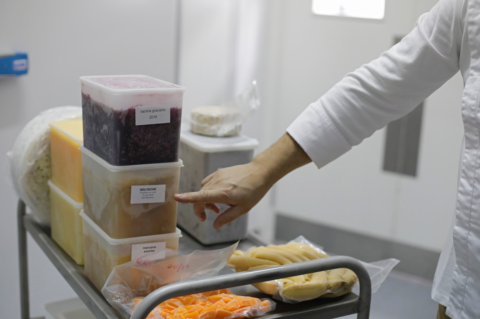 Heladería 'dellaSera': ingredientes Heladería 'dellaSera': ingredientes