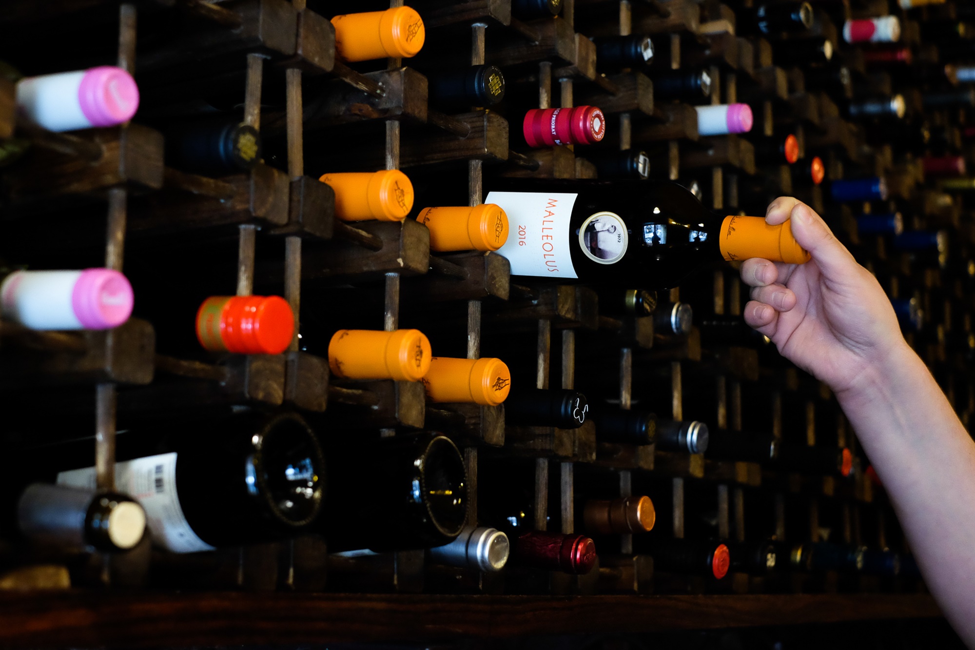 Botellas de vino Botellas de vino