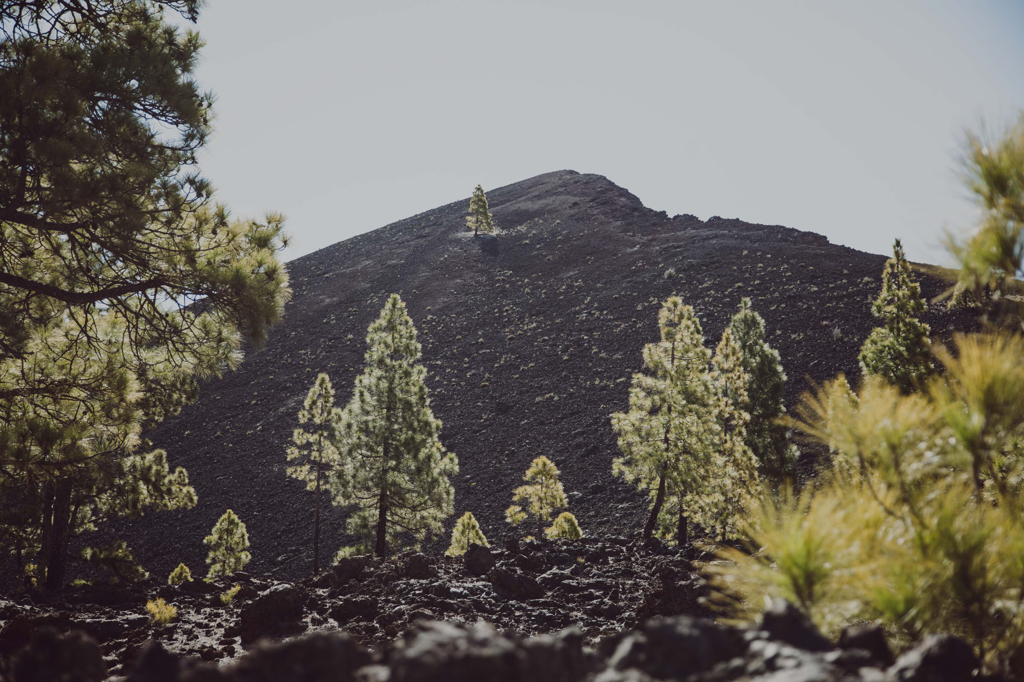 El volcán hizo erupción en 1909. El volcán hizo erupción en 1909.