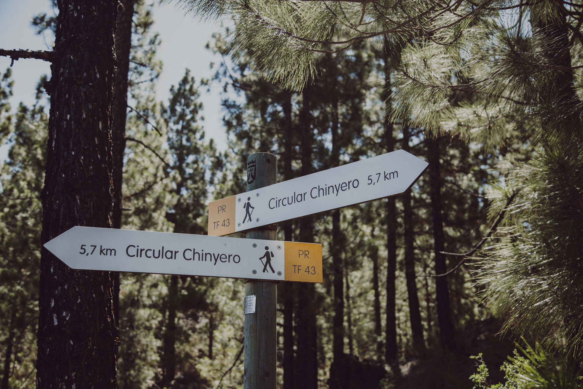 El recorrido por el malpaís no es demasiado largo, entre hora y hora y media El recorrido por el malpaís no es demasiado largo, entre hora y hora y media