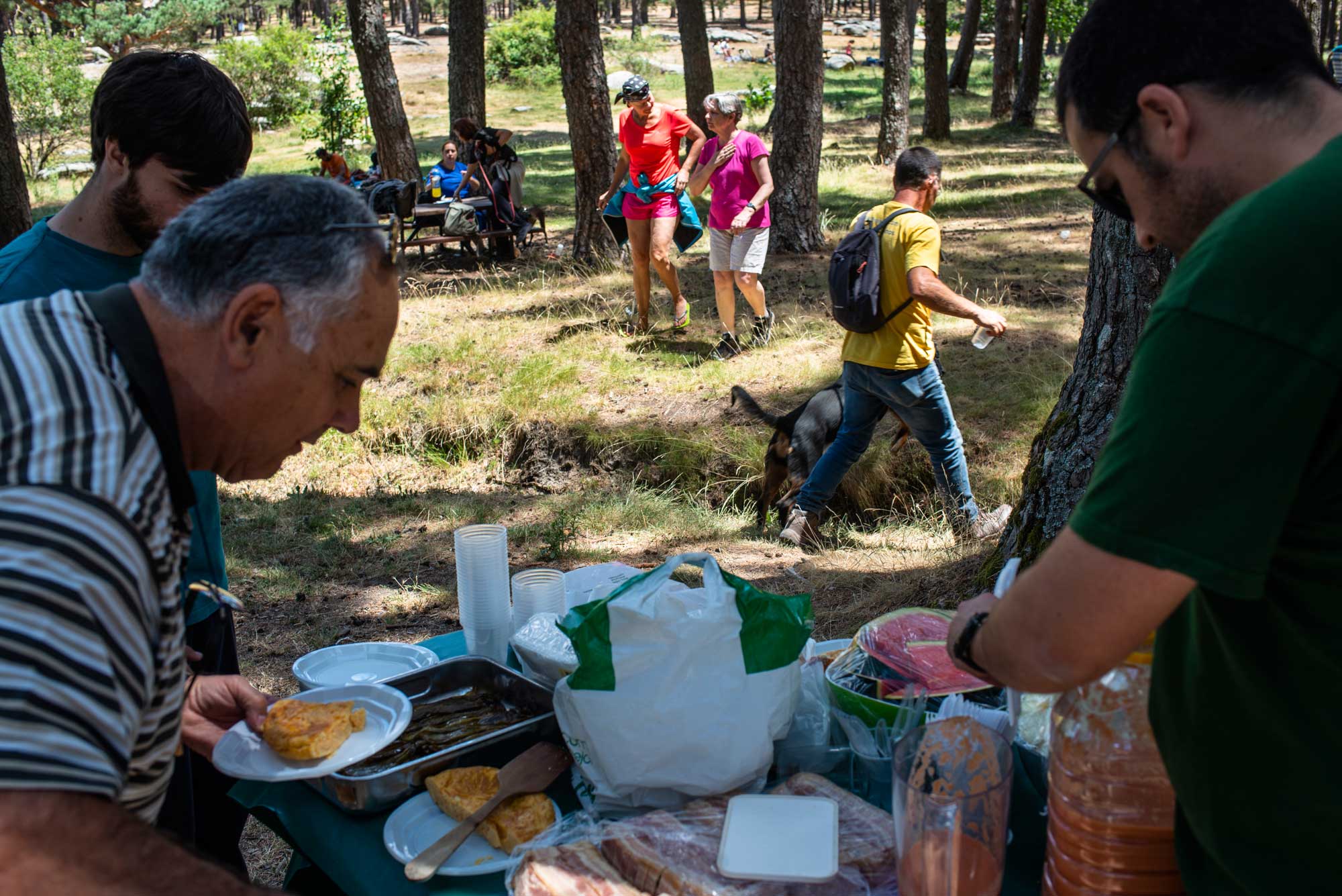 Repartiendo la comida en el merendero también para los humanos. Repartiendo la comida en el merendero también para los humanos.