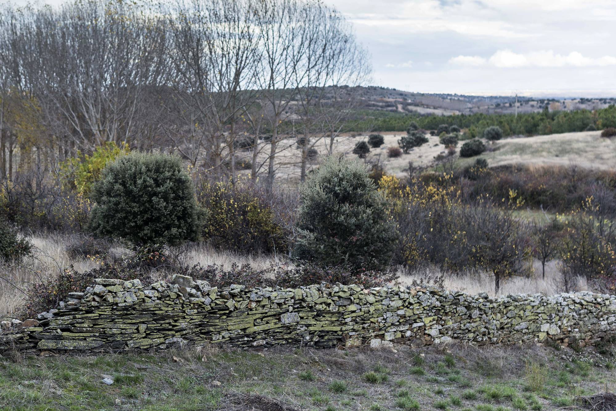 Una tierra árida para la siembra y el pasto que aguzó el ingenio para sobrevivir. Una tierra árida para la siembra y el pasto que aguzó el ingenio para sobrevivir.