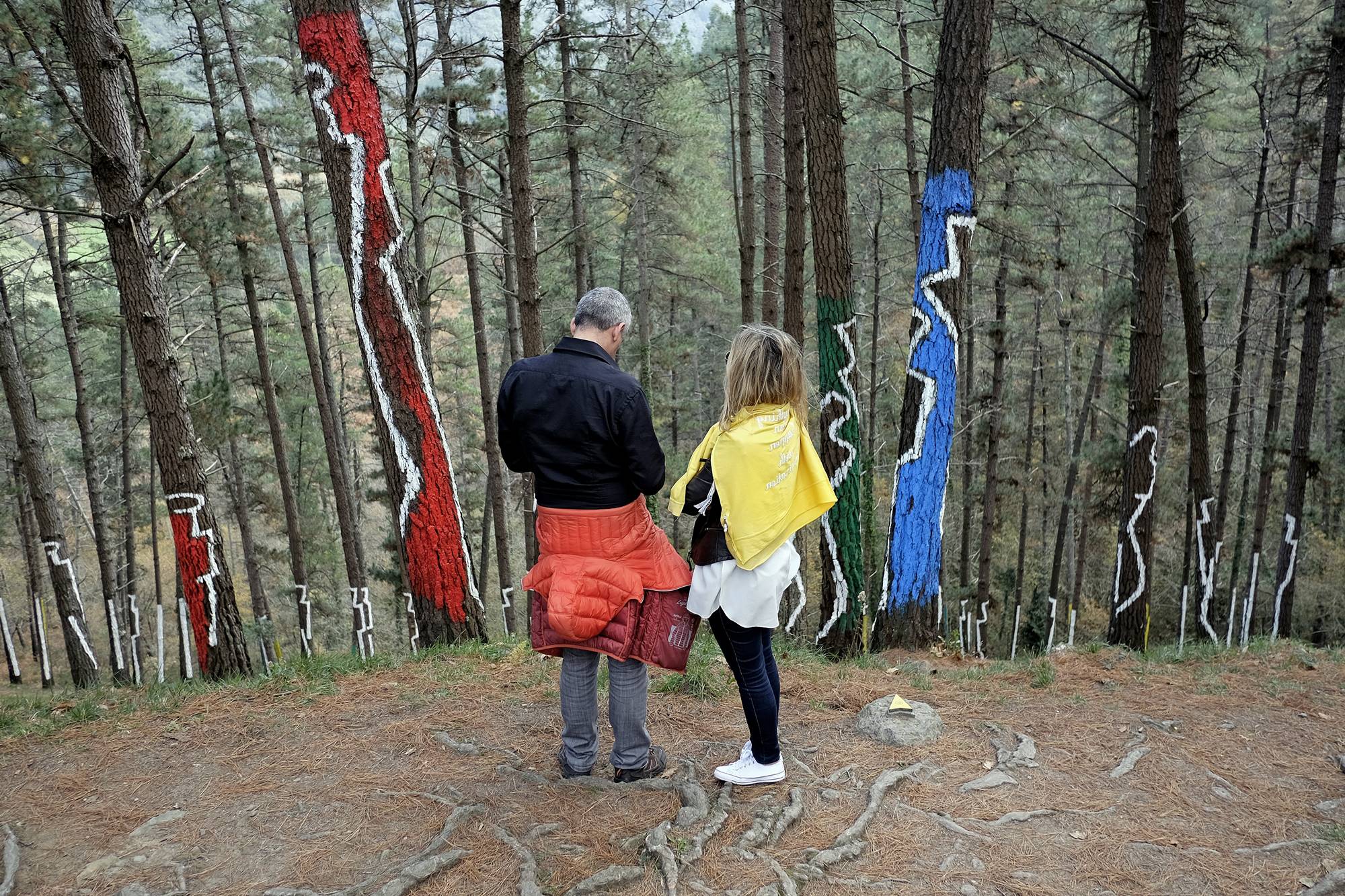 Parejas y grupos de amigos también recorren el bosque durante todo el año. Parejas y grupos de amigos también recorren el bosque durante todo el año.