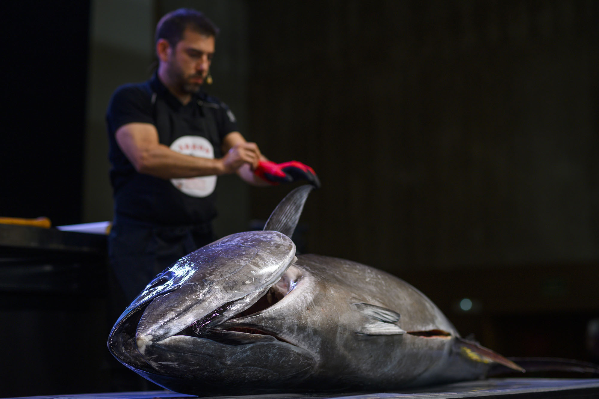 Un atún protagonizó una de los 'showcooking' del congreso. Un atún protagonizó una de los 'showcooking' del congreso.