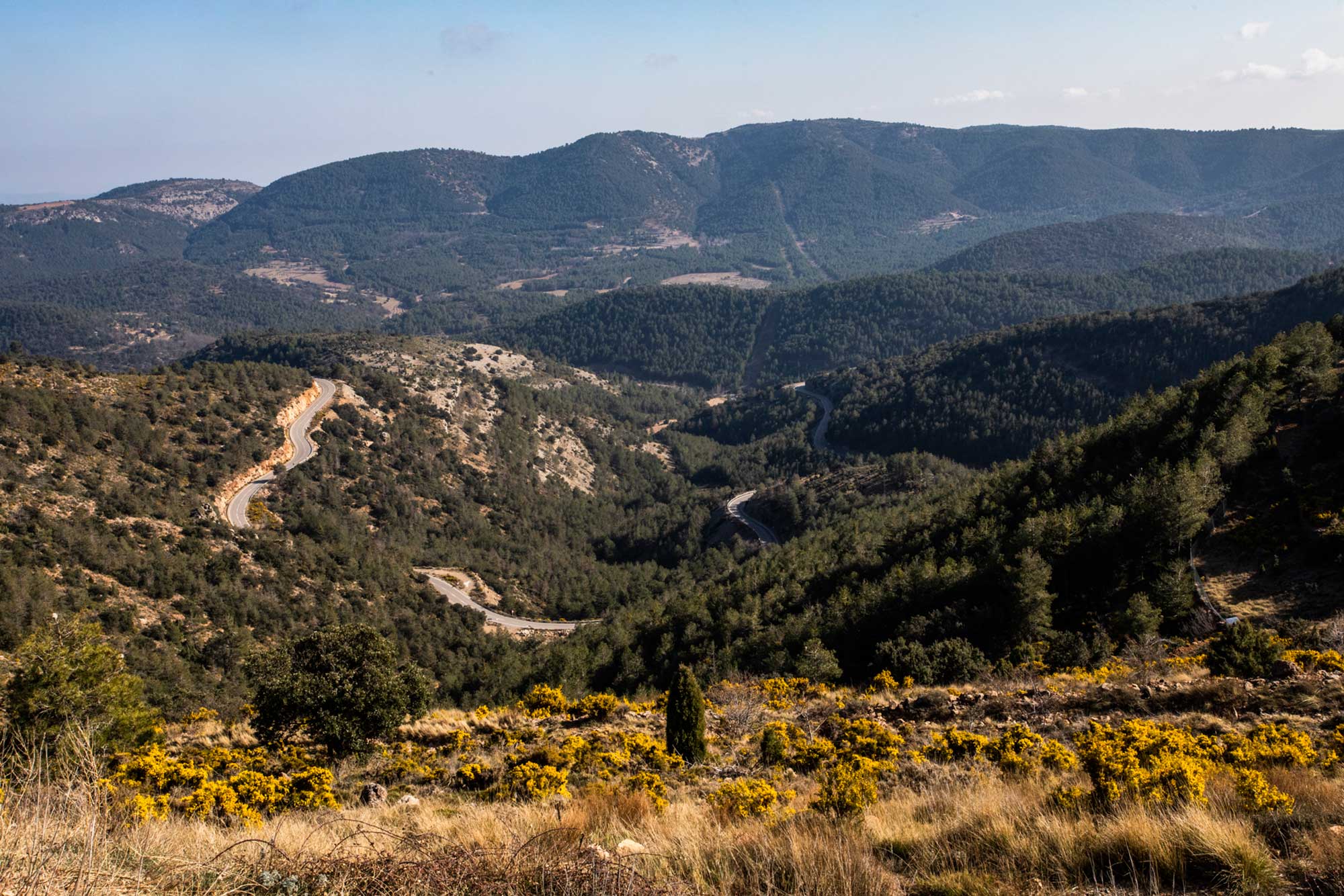 Las vistas desde el Mirador de Coll del Vidre. Las vistas desde el Mirador de Coll del Vidre.