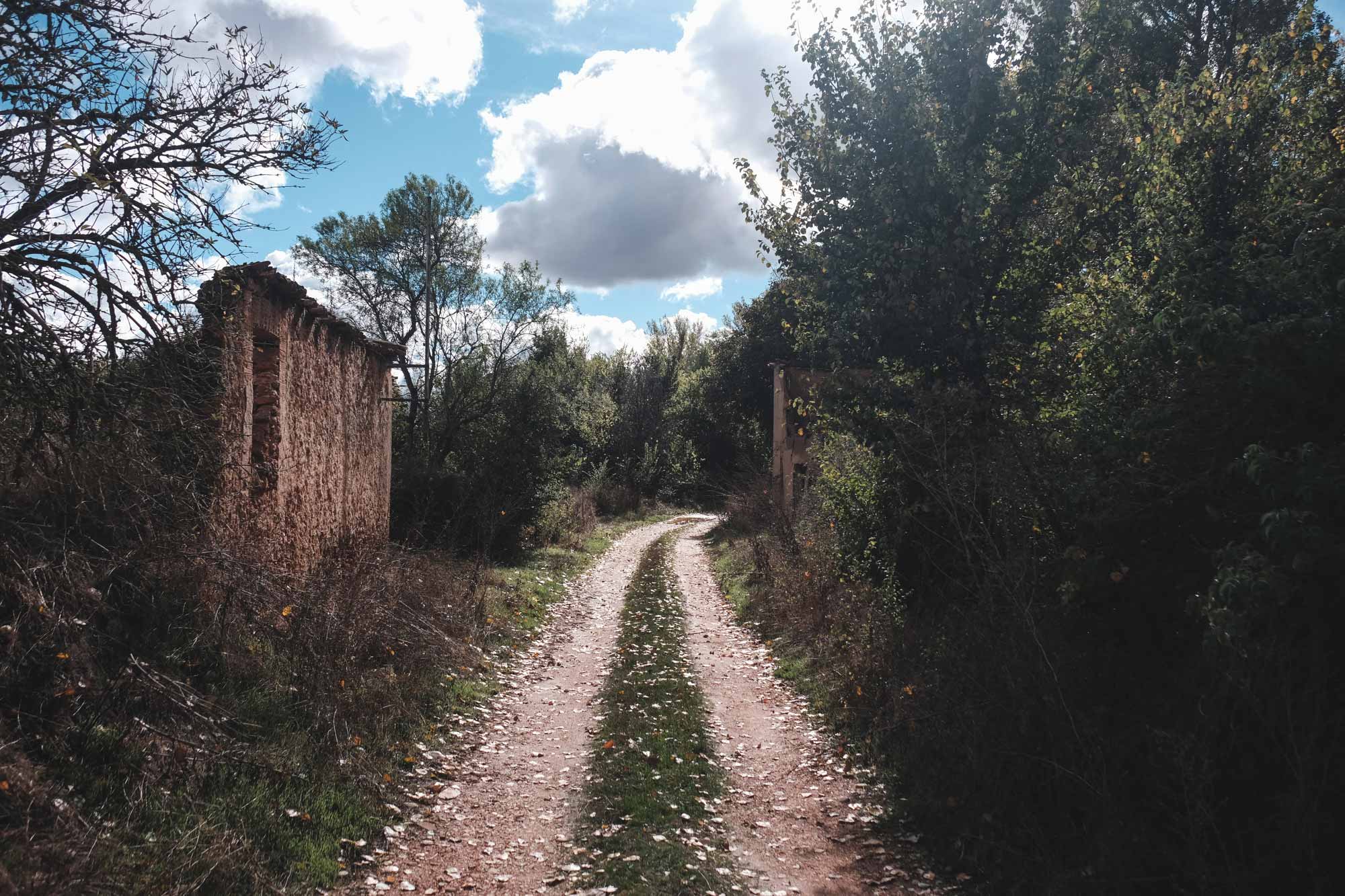 Camino del pueblo abandonado Escobosa de Calatañazor. Camino del pueblo abandonado Escobosa de Calatañazor.