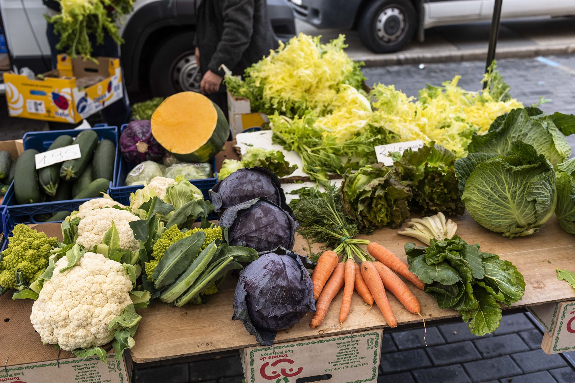 La lombarda, el repollo o la coliflor, estrellas en el gran mercado. La lombarda, el repollo o la coliflor, estrellas en el gran mercado.