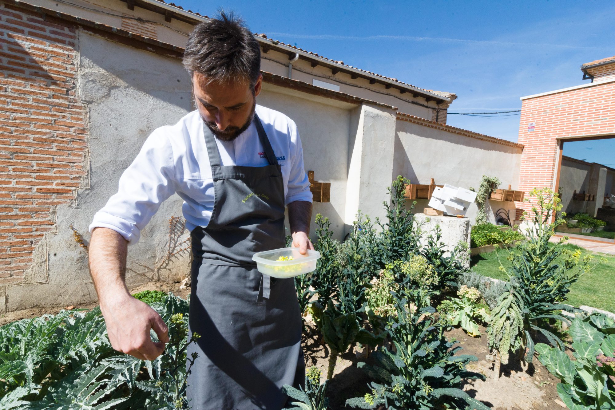 La Botica de Matapozuelos: el jardín trasero del restaurante La Botica de Matapozuelos: el jardín trasero del restaurante