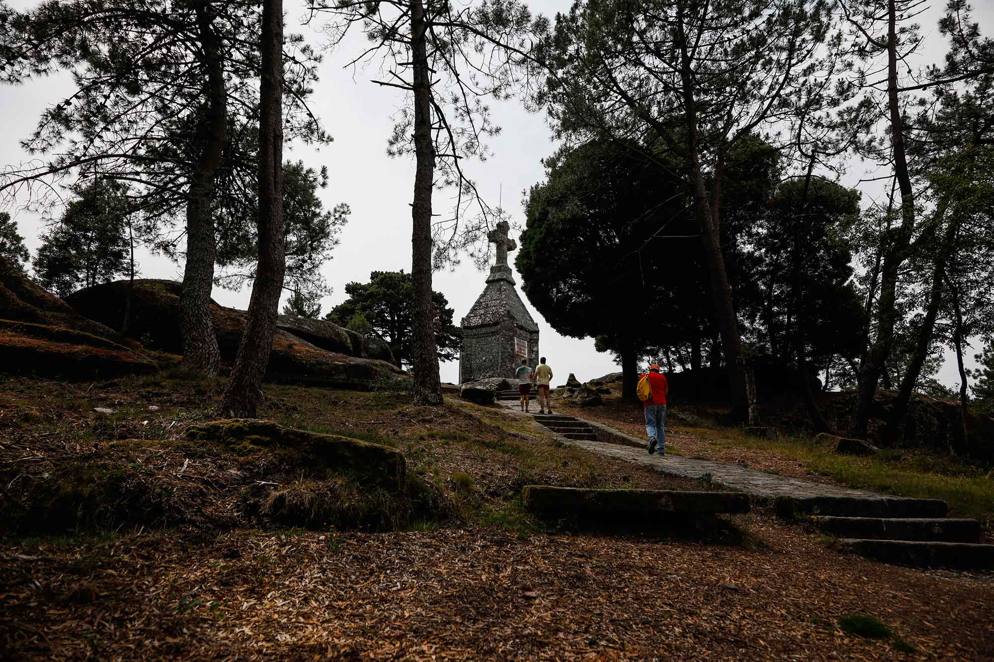 Caminos en el Monte Aloia. Caminos en el Monte Aloia.