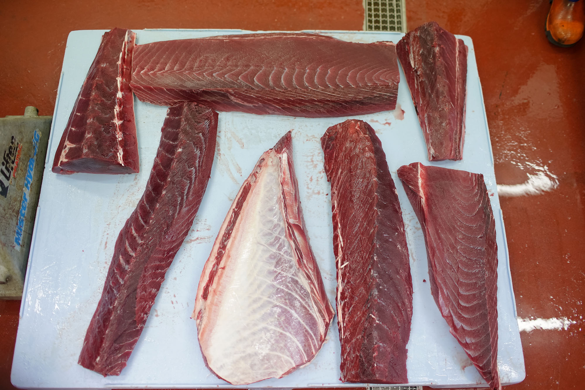 La carne tersa presenta distinto sabor según la pieza y el corte. La carne tersa presenta distinto sabor según la pieza y el corte.