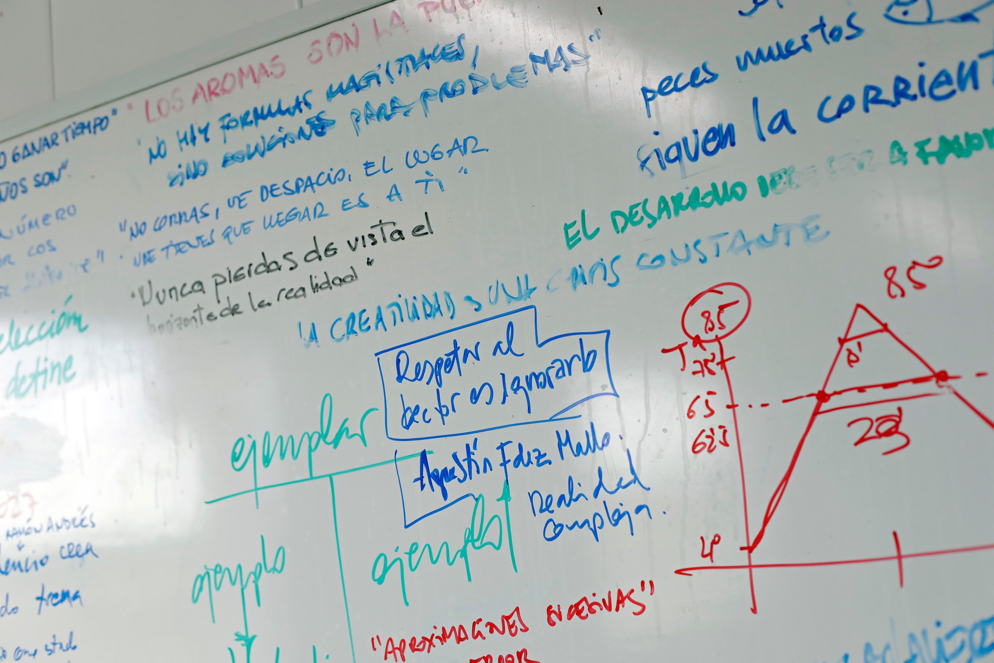 Heladería 'dellaSera': pizarra de recetas y conceptos Heladería 'dellaSera': pizarra de recetas y conceptos