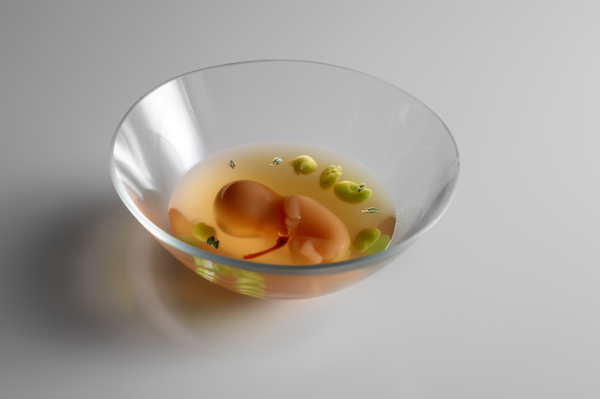 Un feto en su líquido amniótico, parte de la serie sobre el origen de la vida. Foto: Mugaritz. Un feto en su líquido amniótico, parte de la serie sobre el origen de la vida. Foto: Mugaritz.