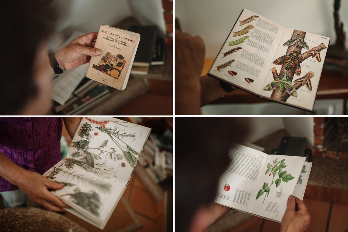 Los libros de Adelina, de sus posesiones más preciadas. Los libros de Adelina, de sus posesiones más preciadas.