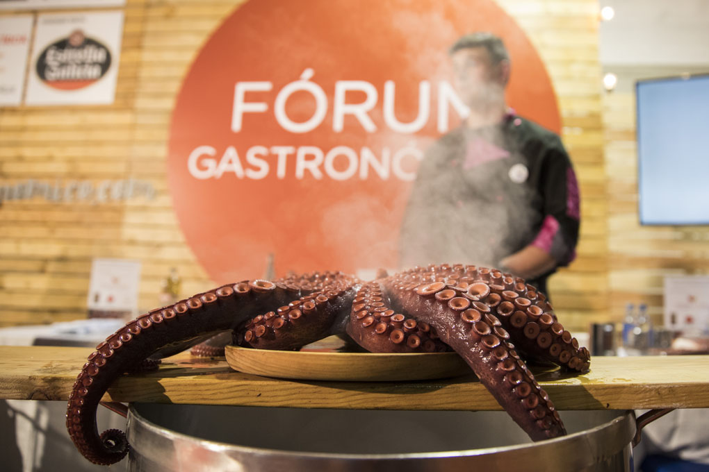 Cocinando pulpo en el Fórum Gastronómico Cocinando pulpo en el Fórum Gastronómico