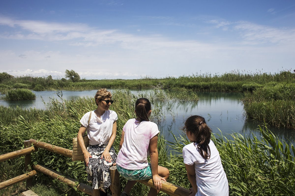 El ullal se encuentra en el Parque Natural de la Albufera. El ullal se encuentra en el Parque Natural de la Albufera.