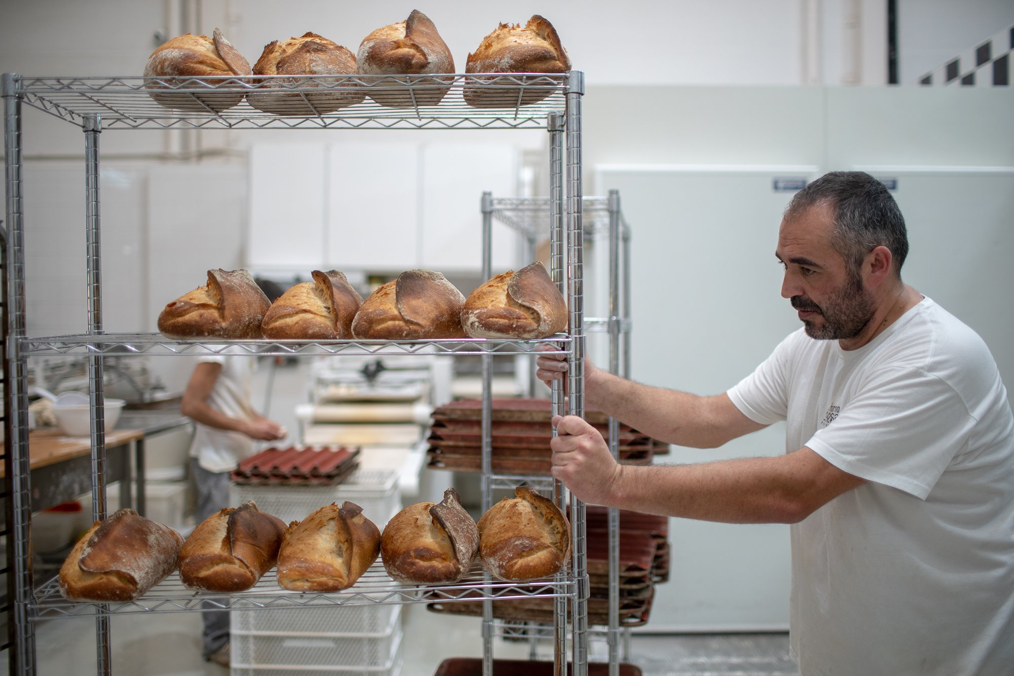 Los panes, elaborados con masa madre, listos para la venta. Los panes, elaborados con masa madre, listos para la venta.