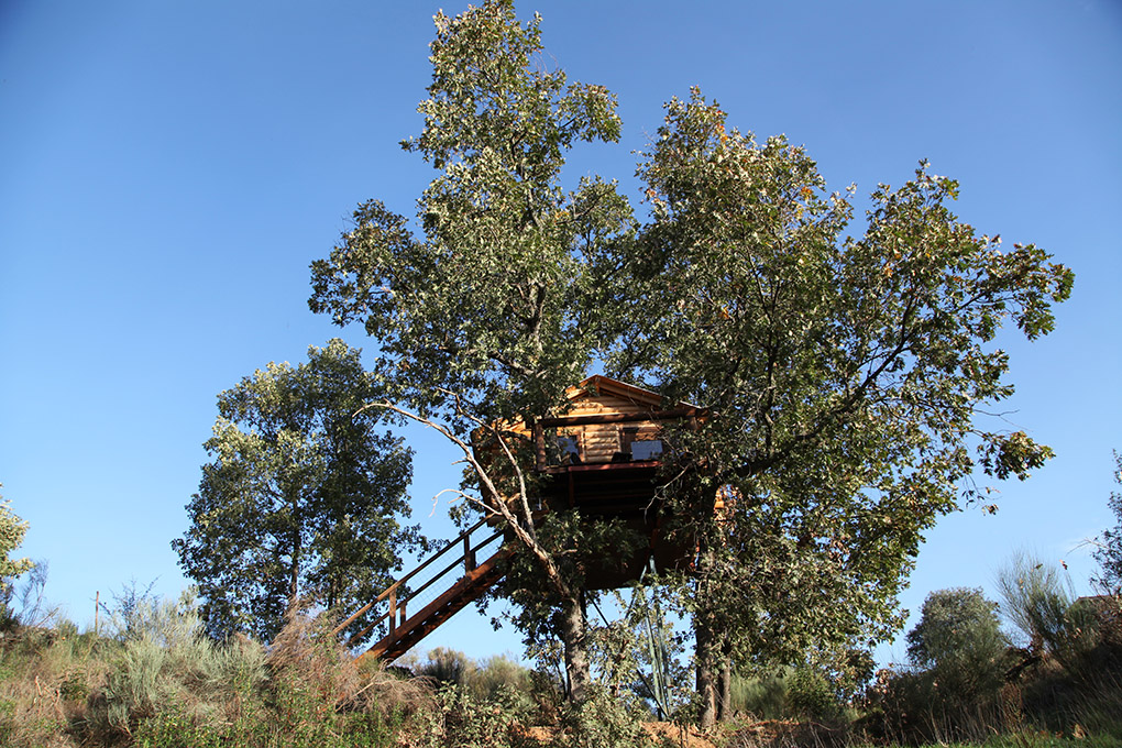 Una de las tres cabañas, 'Brisa', vista desde abajo. Foto: dormirenlosarboles.es Una de las tres cabañas, 'Brisa', vista desde abajo. Foto: dormirenlosarboles.es