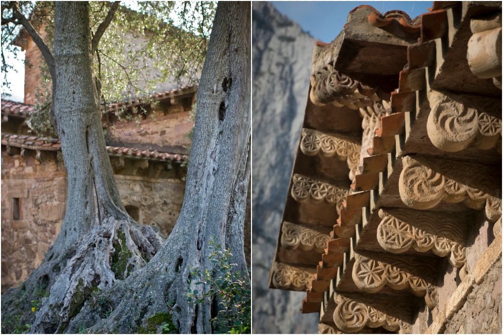El Olivo de Doña Justa y detalle de la cornisa, que delata el origen o influencia celta. El Olivo de Doña Justa y detalle de la cornisa, que delata el origen o influencia celta.