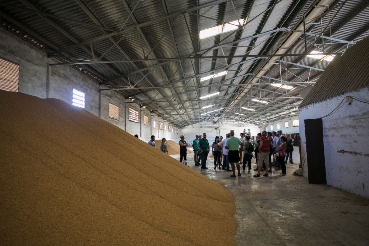 Los graneros de arroz, durante la visita a la finca. Los graneros de arroz, durante la visita a la finca.