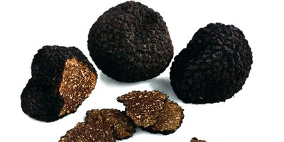 Trufa negra. Trufa negra.
