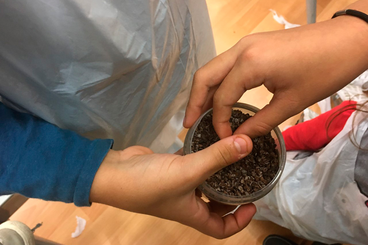 Los más pequeños conocen de cerca el cacao y todos sus procesos hasta convertirse en chocolate. Los más pequeños conocen de cerca el cacao y todos sus procesos hasta convertirse en chocolate.
