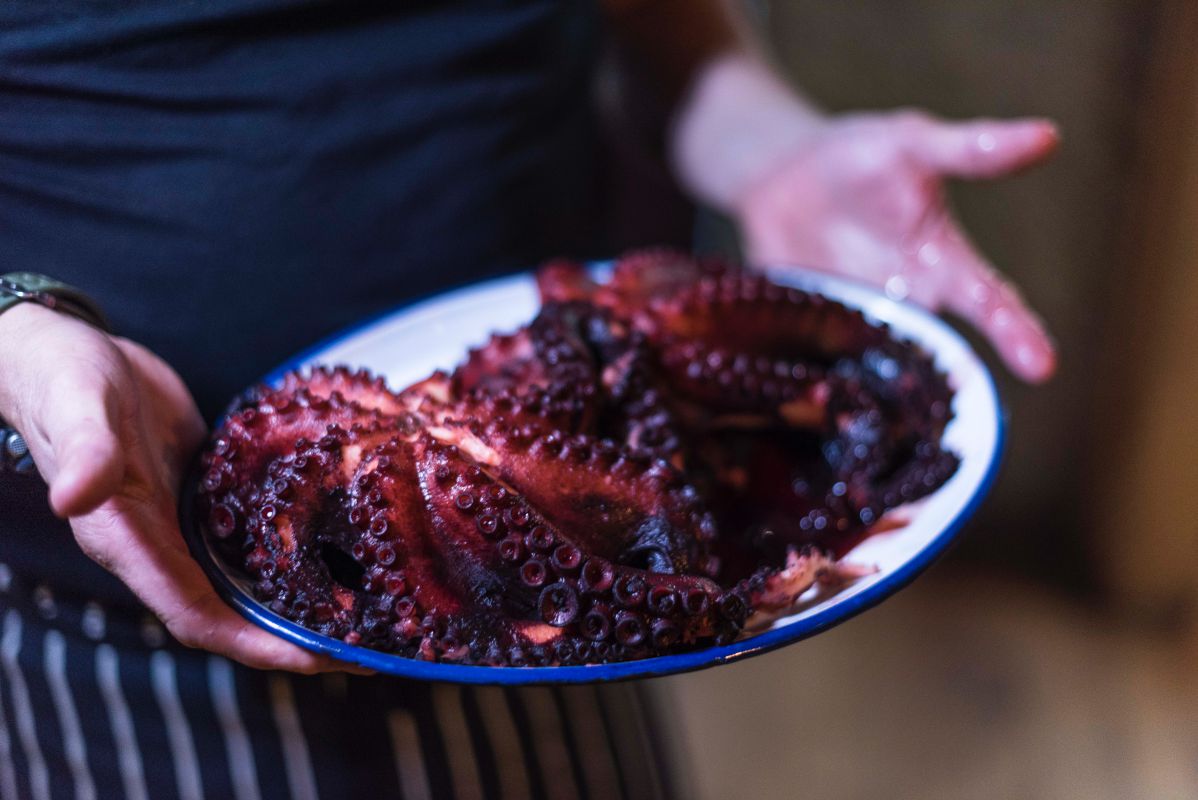 El pulpo, uno de los mejores productos con los que cuenta la cocina, se cuece en su propio jugo. El pulpo, uno de los mejores productos con los que cuenta la cocina, se cuece en su propio jugo.