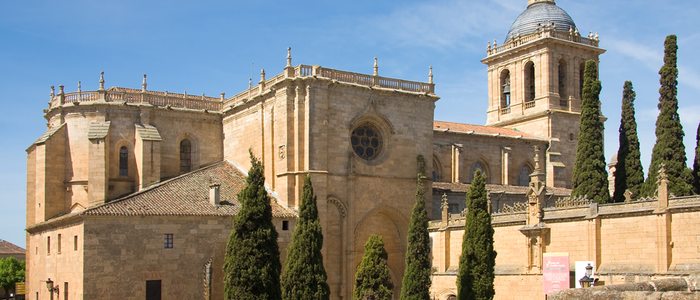Catedral de Ciudad Rodrigo. Catedral de Ciudad Rodrigo.